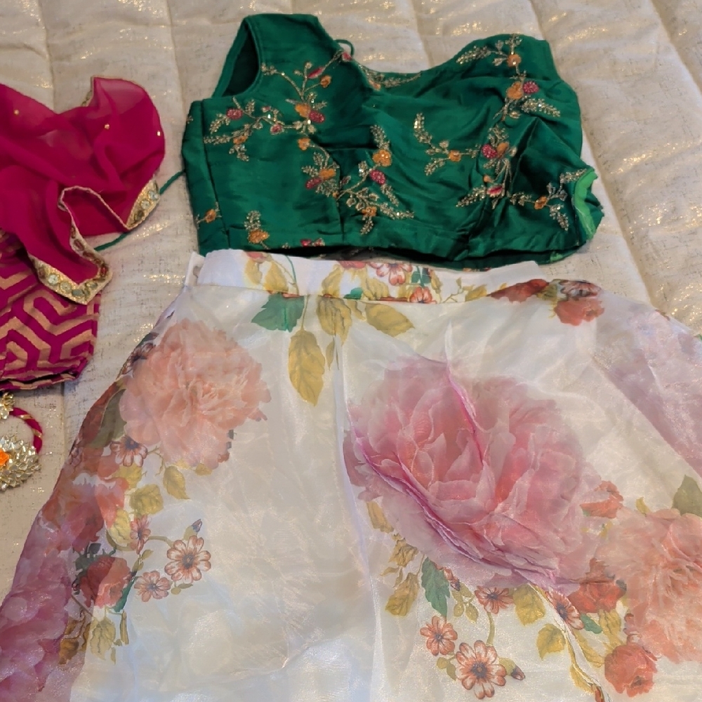 Floral Green and Pink Saree/ Lehenga Choli